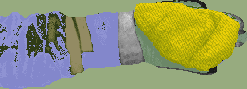Reference image