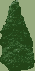 Reference image