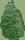 Reference image