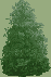 Reference image
