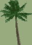 Reference image